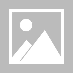 关于吃瓜网站166su吃瓜免费的信息